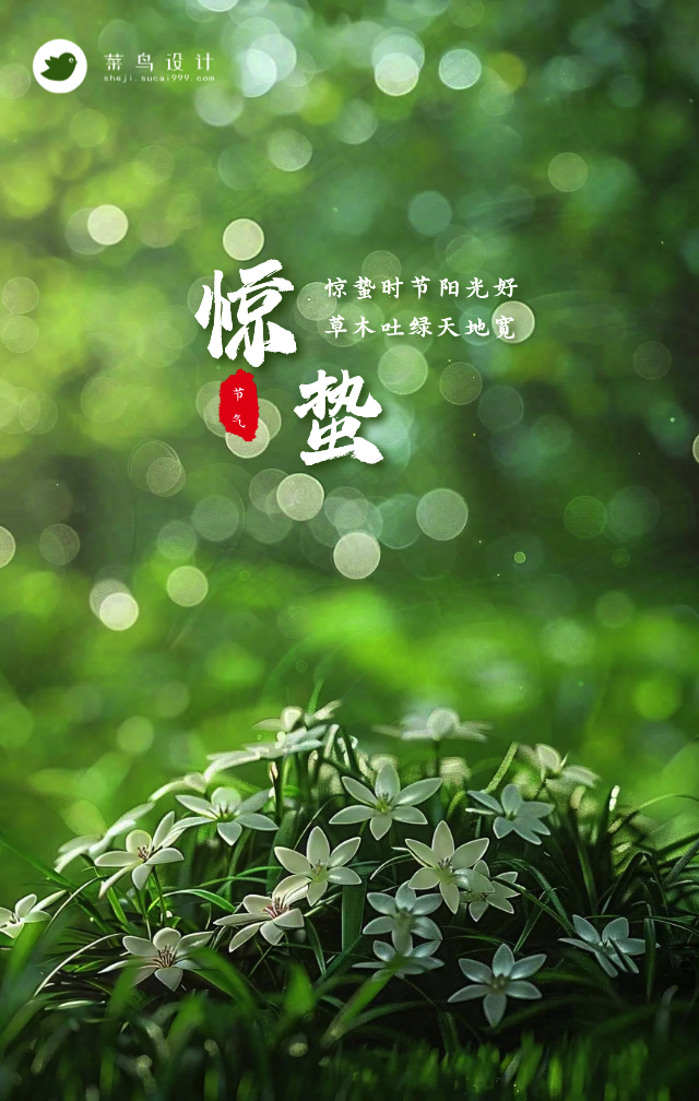 惊蛰手机海报