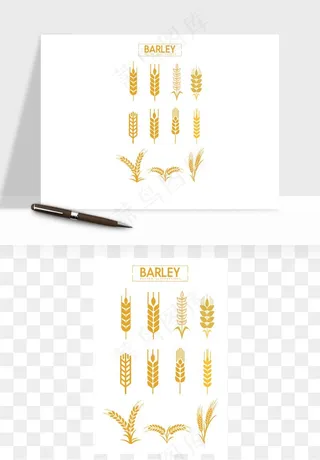 手绘麦穗稻穗麦秆矢量png免抠