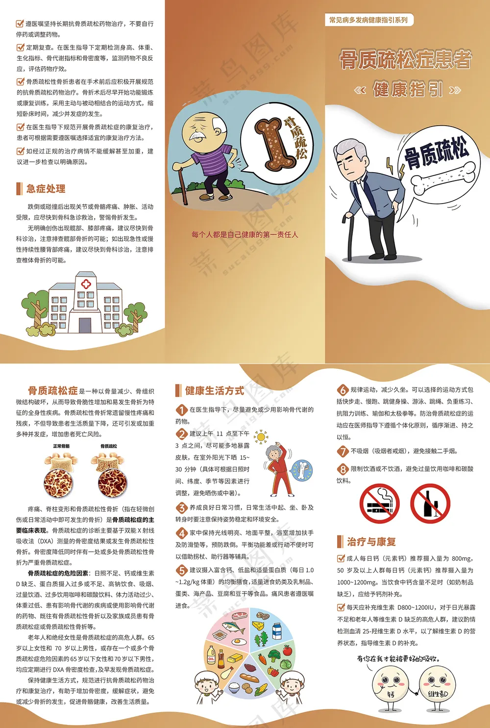 骨质疏松症患者健康指引三折页