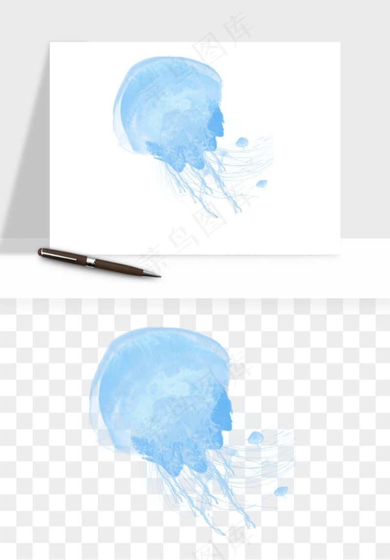 水母章鱼海底生物png免抠图