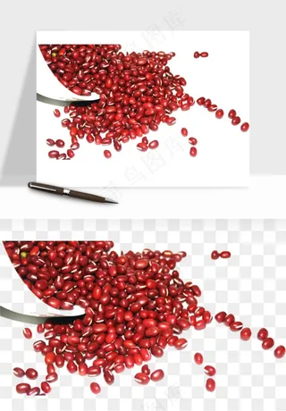 五谷粮食大豆png免抠图