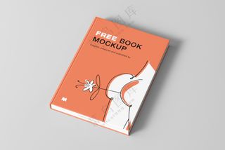 19硬壳书籍书本画册封面样机