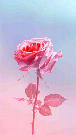 渐变玫瑰花创意插画情人节背景