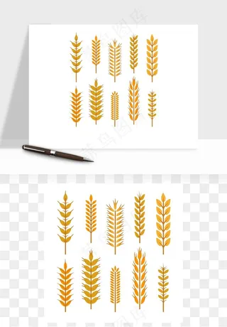 手绘麦穗稻穗麦秆矢量png免抠