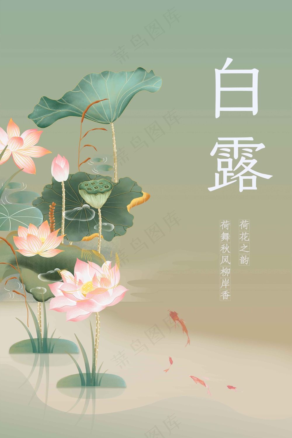 白露节气传统活动海报