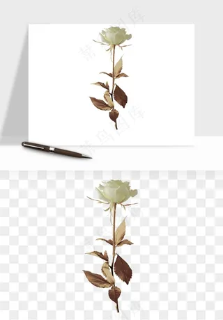 复古鲜花玫瑰png免抠