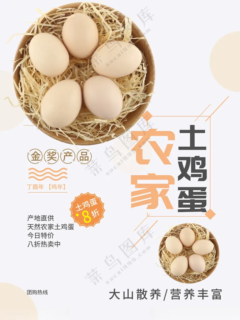 农家土鸡蛋农家草鸡蛋笨鸡海报