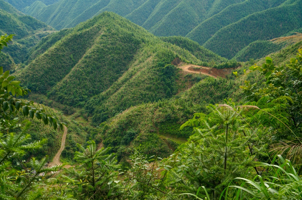 翠绿的山谷，自然的呼吸