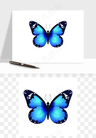 蝴蝶昆虫矢量png免抠