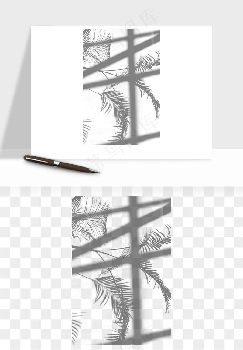 阴影植物窗户投影免抠元素