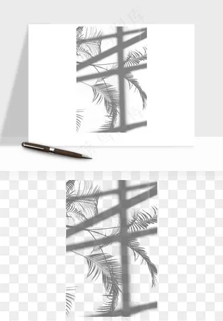 阴影植物窗户投影免抠元素