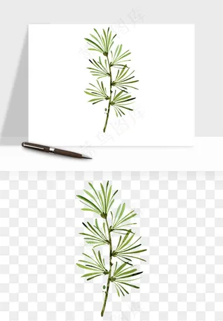 清新手绘植物png免抠