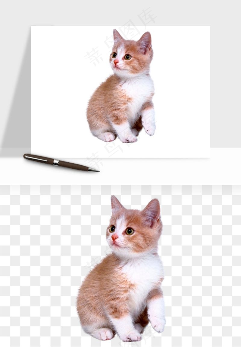 猫咪喵星人狗狗宠物元素png免抠