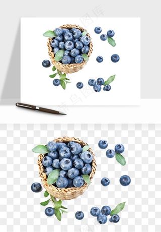 蓝莓水果png免抠