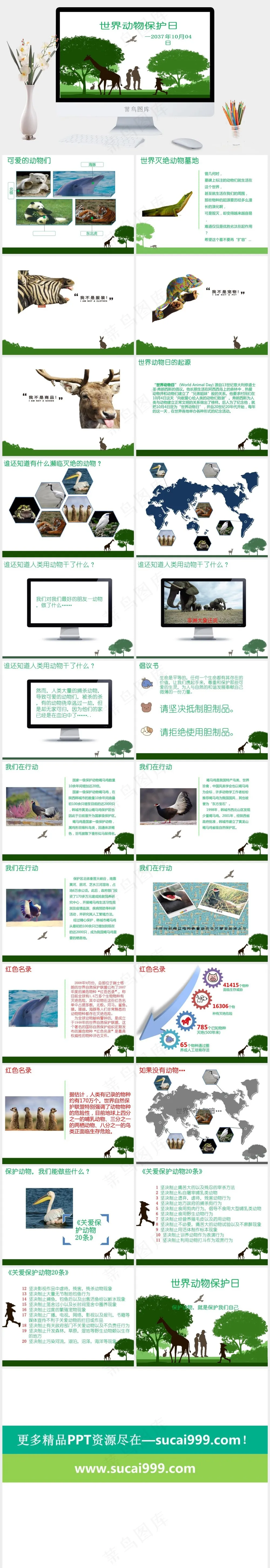 保护野生动物生态环境保护PPT 保护野生动物生态环境保护PPT