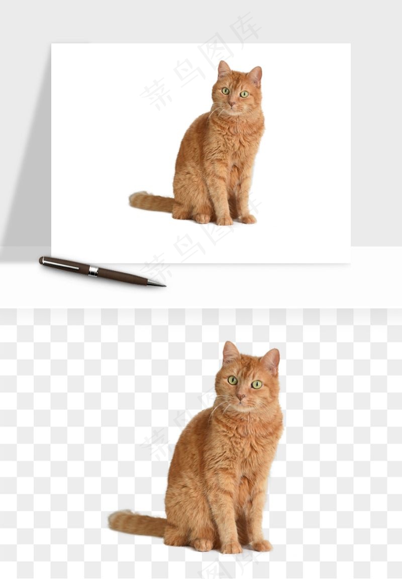 猫咪喵星人狗狗宠物元素png免抠