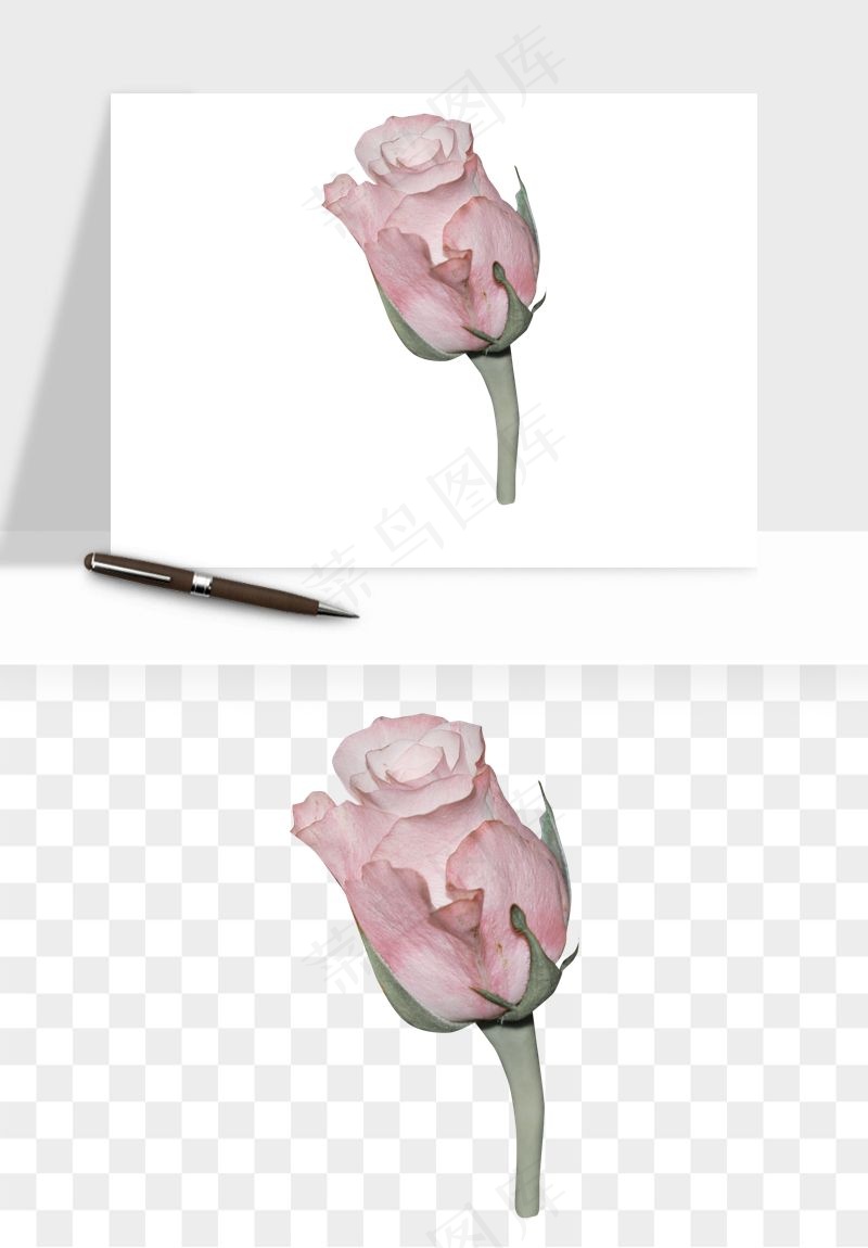 复古鲜花玫瑰png免抠