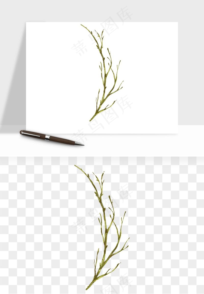 清新手绘植物png免抠