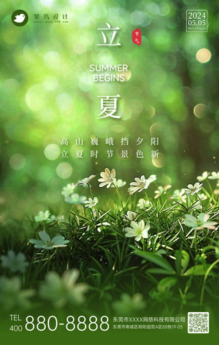 立夏手机海报
