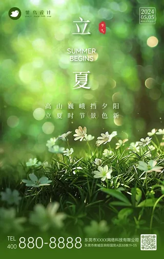 立夏手机海报