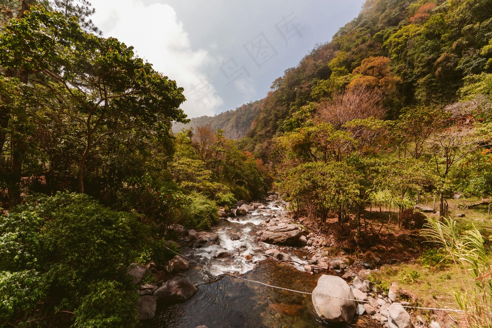 静谧山谷中的潺潺溪流