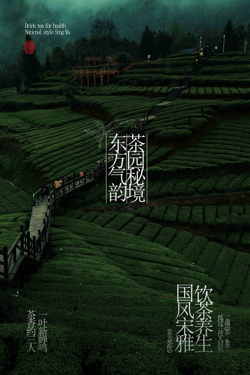 茶饮茶叶茶园活动宣传海报