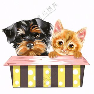 萌宠宠物猫狗礼盒免抠