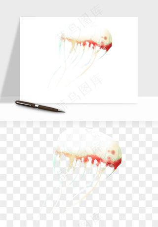 水母章鱼海底生物png免抠图