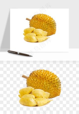 榴莲果肉水果png免抠