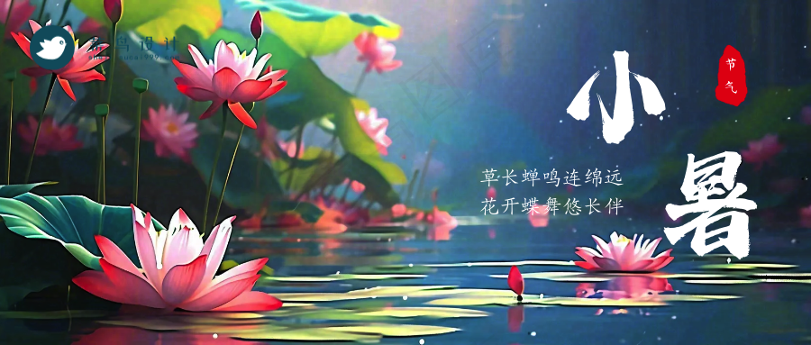 小暑公众号首图