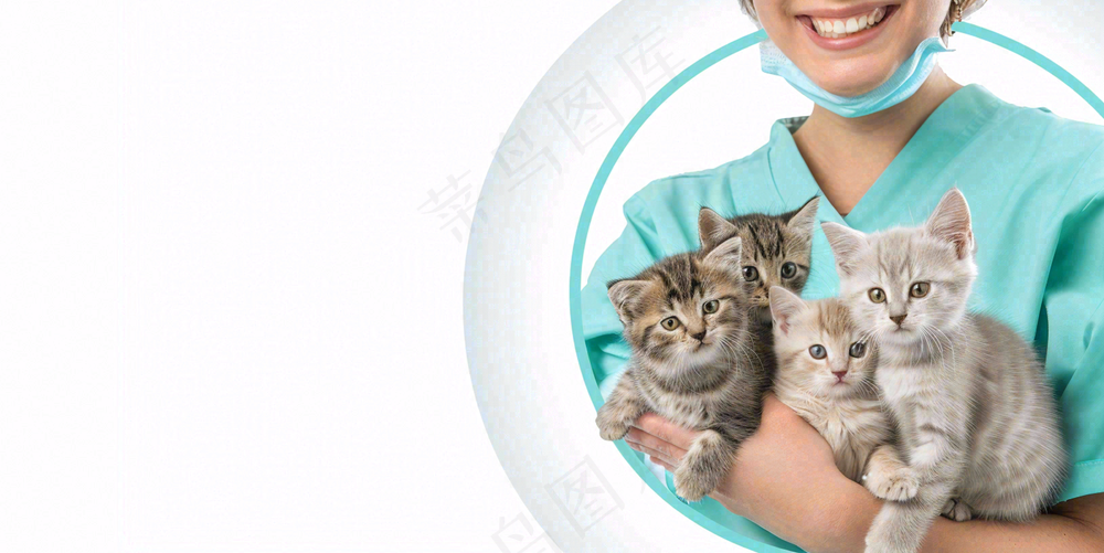 宠物医院猫狗生病救治摄影图