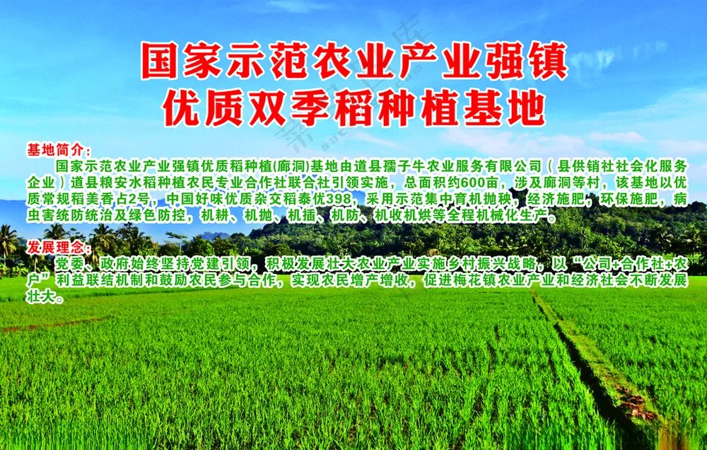 培育优质水稻海报优质双季稻农业产业海报