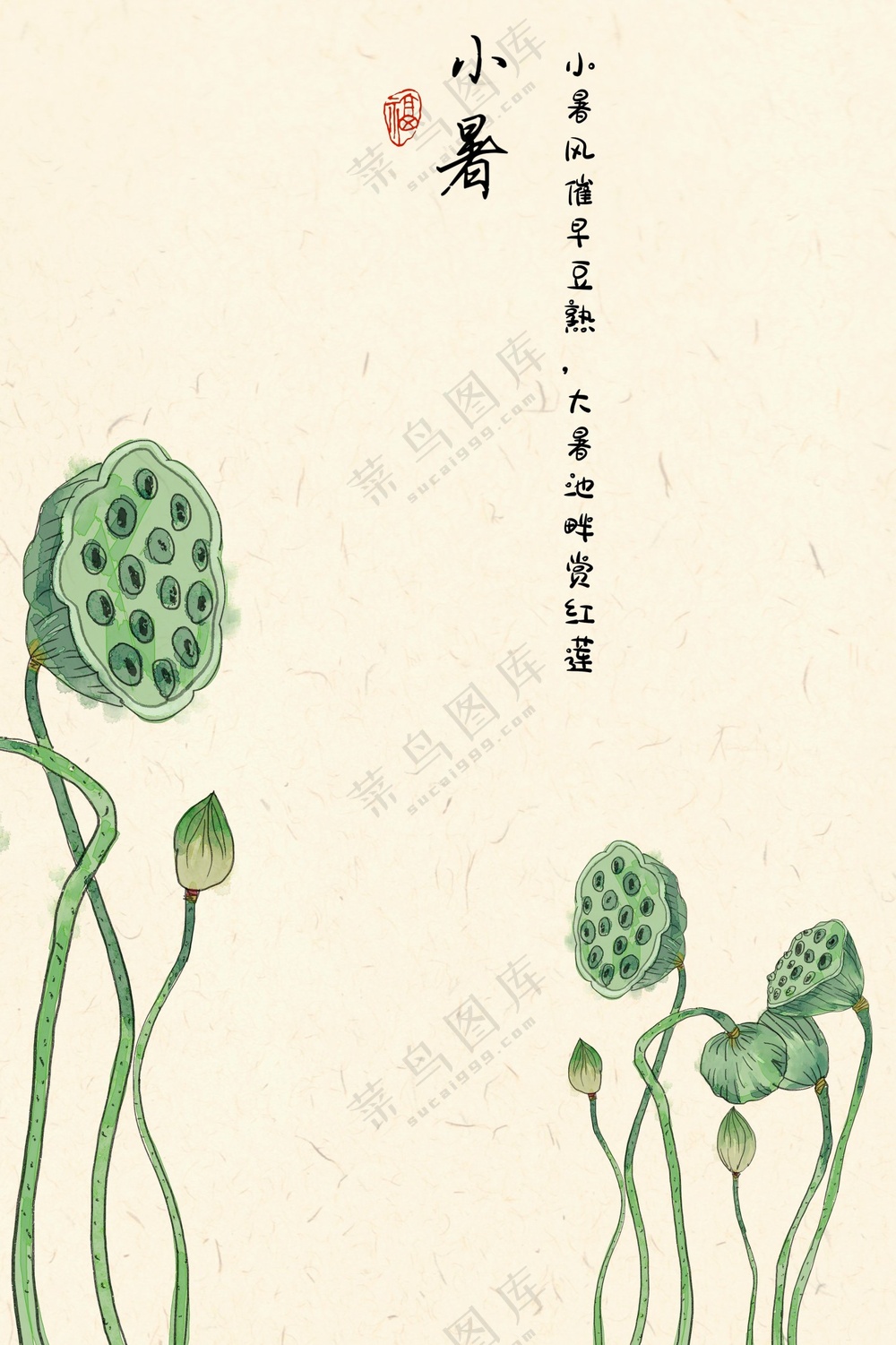 二十四节气 小暑