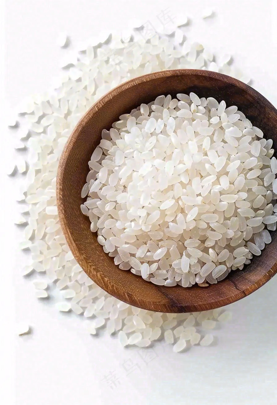 世界粮食日谷物米饭稻谷小麦摄影图