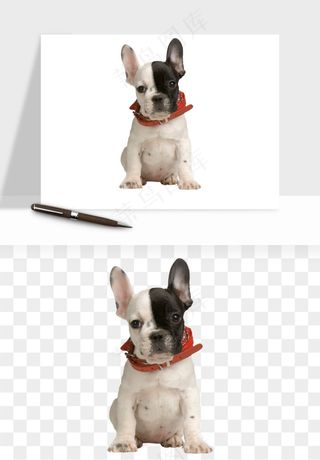 猫咪喵星人狗狗宠物元素png免抠