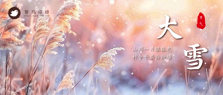 大雪公众号首图