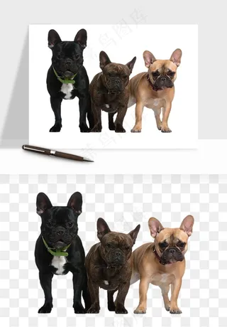 猫咪喵星人狗狗宠物元素png免抠