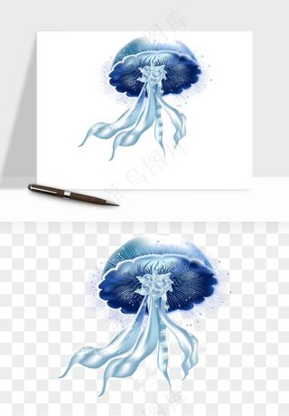 水母章鱼海底生物png免抠图