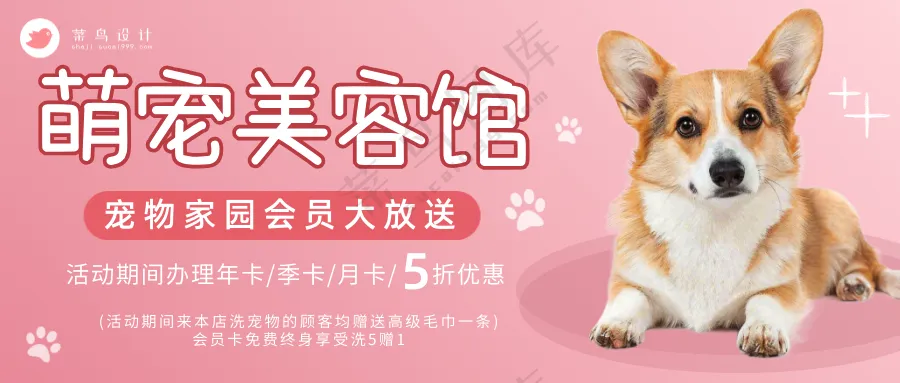 萌宠宠物美容馆活动促销公众号首图