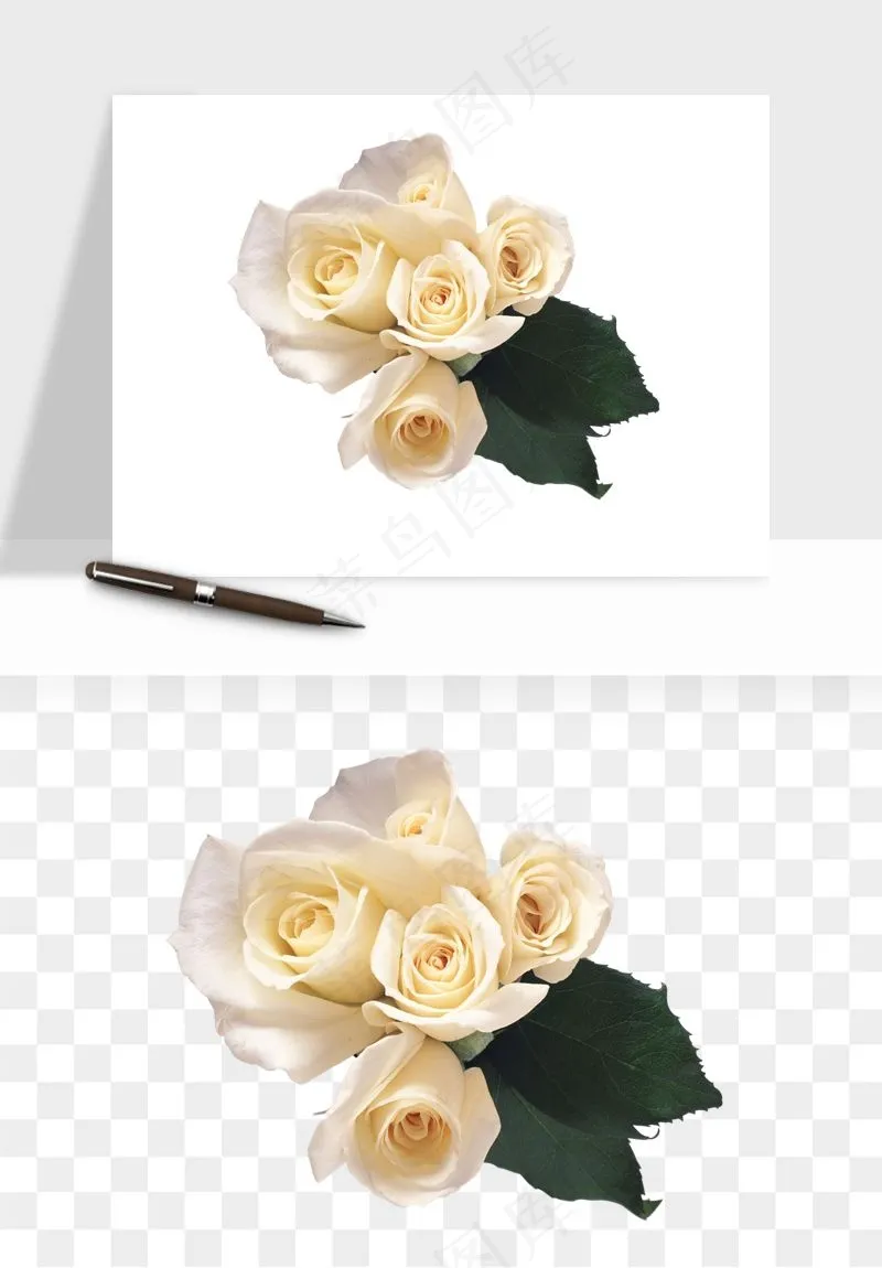 白玫瑰花枝花束png免抠