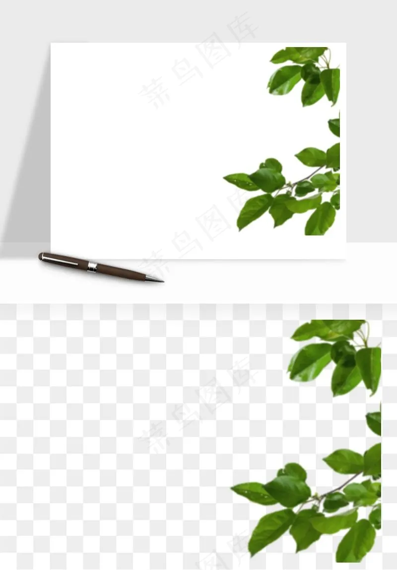 绿叶虚化前景树枝png免抠