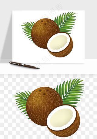 椰子椰果水果png免抠