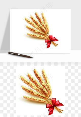 手绘麦穗稻穗麦秆矢量png免抠