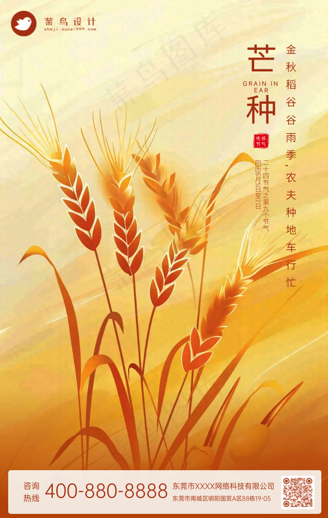 芒种手机海报