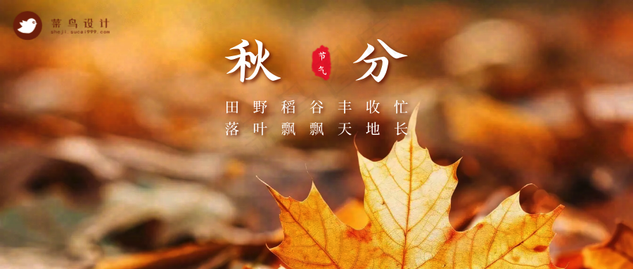 秋分公众号首图