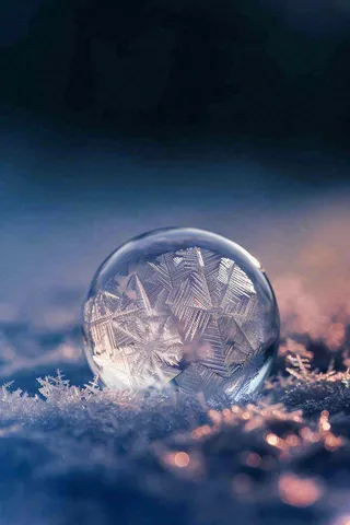 冬天结霜结冰的雪花霜降立冬摄影图