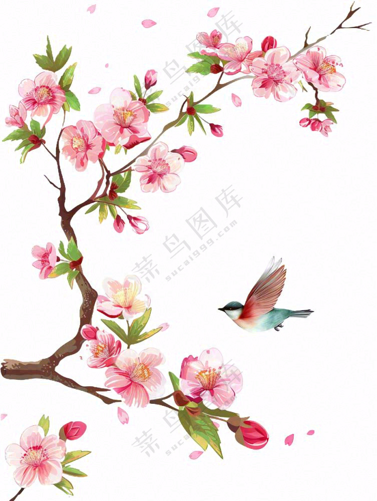 春天桃花树上小鸟喜鹊插画免抠