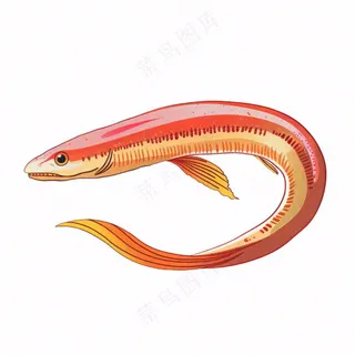 海洋鱼类海鲜卡通插画免抠