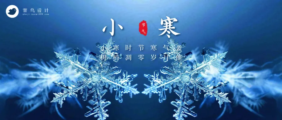 小寒公众号首图