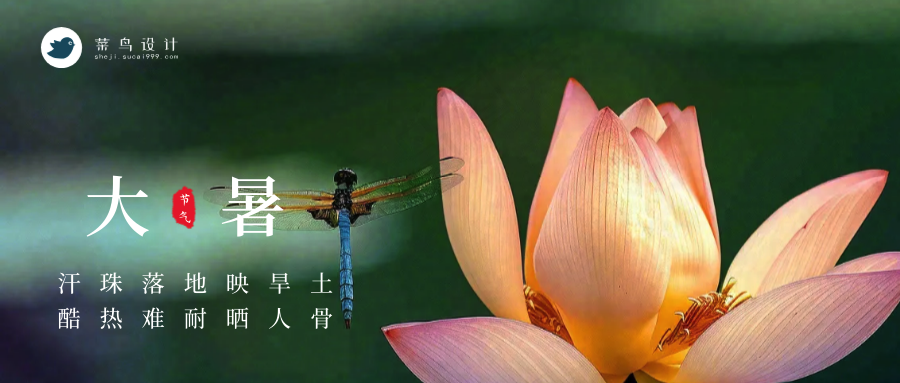 大暑公众号首图